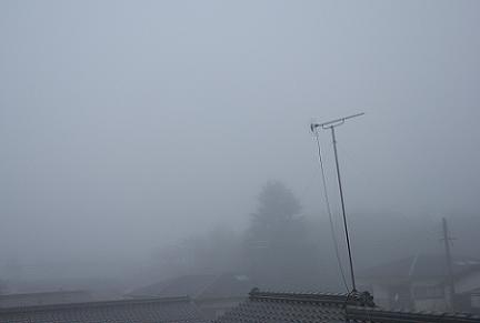 今朝の霧８／１２／１０／.jpg
