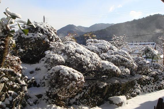山裾の雪景色１０／２／7／－３★.jpg