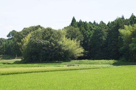 田畑の風景−１.jpg
