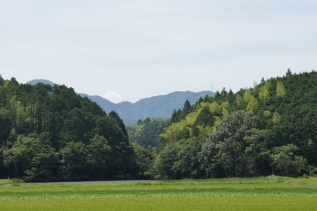 田畑の風景−２.jpg
