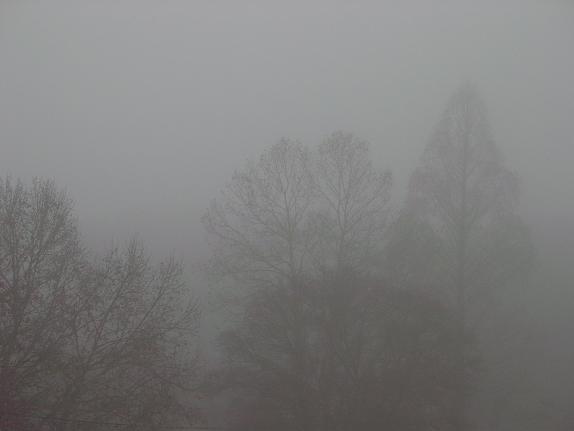篠山の朝霧－１.JPG