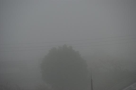 篠山の朝霧９／１０／４／－１.jpg