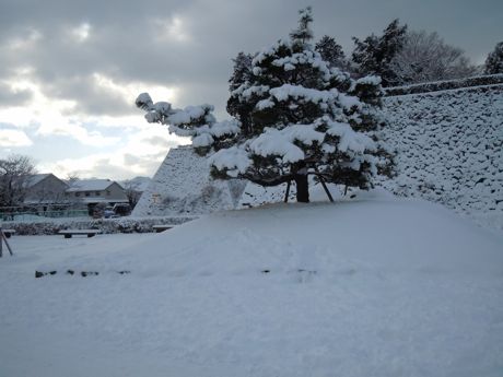 翌日の雪景色−１.jpg