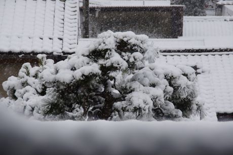 降りだした雪−１.jpg