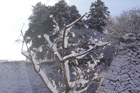 雪の城跡−２.jpg